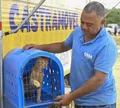 Castração gratuita de cães e gatos acontece em Iguá até sábado (19)