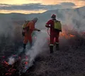 Incêndio atinge cerca de 3 km de vegetação em Jaguarari