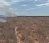 Incêndio florestal atinge mil hectares no interior da Bahia