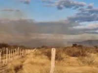 Incêndio consome mais de 1 quilômetro de vegetação no norte da Bahia