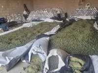 Mais de duas toneladas de maconha são apreendidas na Bahia