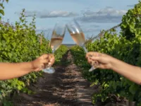 Vaz, Uvva e mais: conheça vinícolas com experiências a partir R$ 50