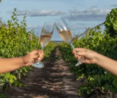 Vaz, Uvva e mais: conheça vinícolas com experiências a partir R$ 50
