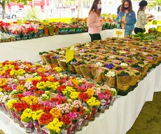 Vitória da Conquista sedia 17ª edição da Feira de Flores de Holambra