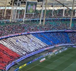 Bahia tem a maior torcida do Nordeste; veja posição do Vitória