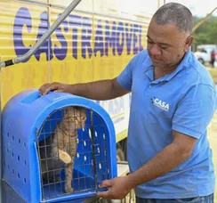 Castração gratuita de cães e gatos acontece em Iguá até sábado (19)