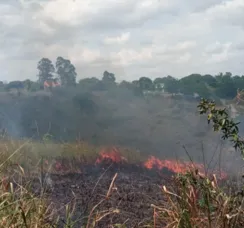 Incêndio destrói 3 hectares e ameaça área residencial em Eunápolis