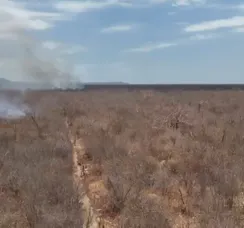 Incêndio florestal atinge mil hectares no interior da Bahia