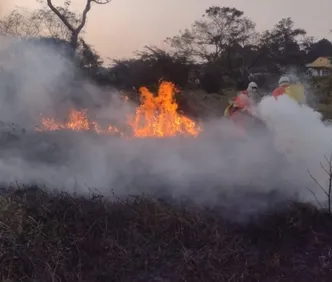 Vitória da Conquista tem 6 incêndios florestais em 48h; veja causas