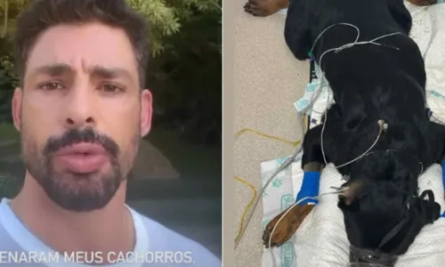 
				
					Abatido, Cauã Reymond denuncia crime contra cachorros: 'Maldade'
				
				