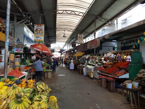 
				
					Amendoim, coco e mais: veja preços de produtos do São João em Salvador
				
				