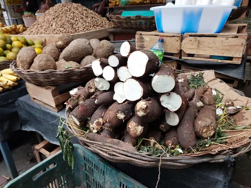 
				
					Amendoim, coco e mais: veja preços de produtos do São João em Salvador
				
				