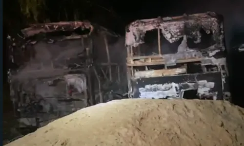 
				
					Amigos fumam maconha e bitucas causam incêndio em três ônibus na Bahia
				
				