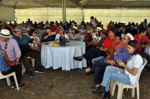 
				
					Bahia Farm Show 2024 terá leilão de mais de 1,2 mil cabeças de gado
				
				