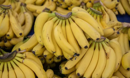 
				
					Banana se torna vilão da cesta básica em Salvador com alta de 58%
				
				