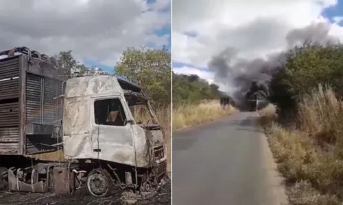  Boi morre carbonizado após carreta pegar fogo na BA; outros 99 fugiram 