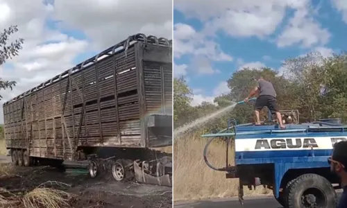 
				
					Boi morre carbonizado após carreta pegar fogo na BA; outros 99 fugiram
				
				