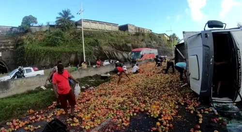 
				
					Caminhão carregado de frutas tomba e deixa trânsito lento na BR-324
				
				