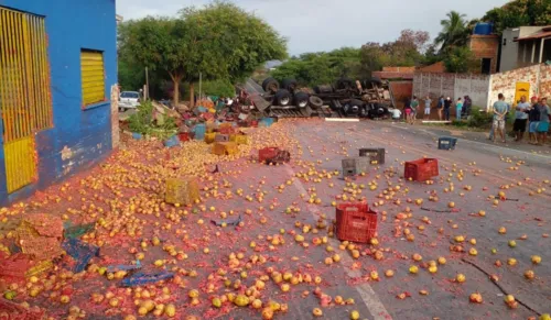 
				
					Caminhão com frutas tomba e motorista fica ferido em Maracás
				
				