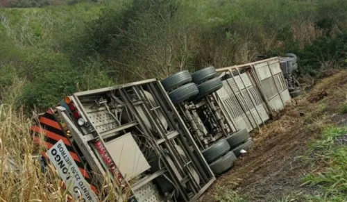 
				
					Caminhoneiro morre após perder o controle da direção em rodovia na BA
				
				