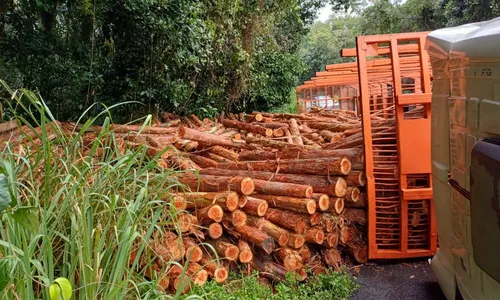 
				
					Carreta com eucalipto tomba e causa congestionamento na BR-101
				
				