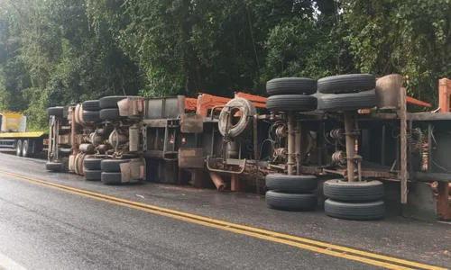 
				
					Carreta com eucalipto tomba e causa congestionamento na BR-101
				
				