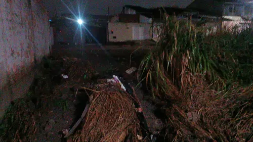 
				
					Casas desabam após fortes chuvas em Eunápolis; veja previsão do tempo
				
				