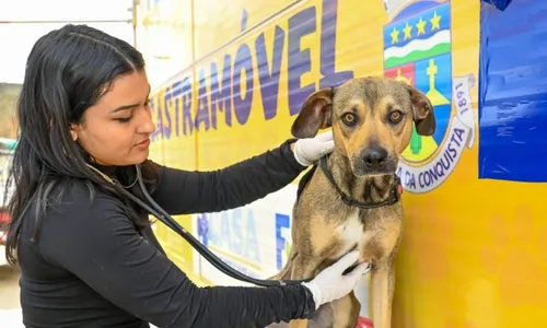 
				
					Castração gratuita para cães e gatos acontece na Bahia
				
				