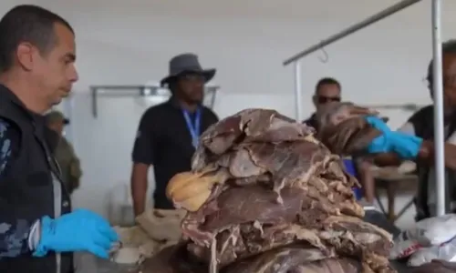 
				
					Cerca de 10 toneladas de carnes impróprias são apreendidas na BA
				
				