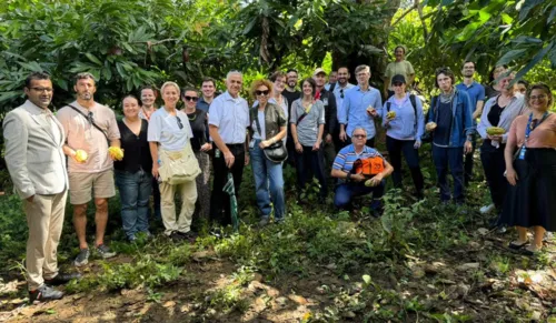 
				
					Compradores internacionais movimentam exportação de cacau na Bahia
				
				