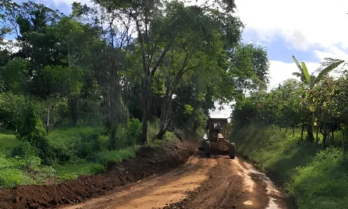 
				
					Corpo enrolado em lençol é encontrado às margens de estrada em Ilhéus
				
				