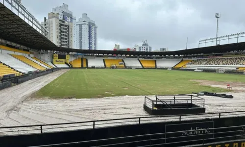 
				
					Criciúma x Bahia: escalações, arbitragem e onde assistir ao vivo
				
				