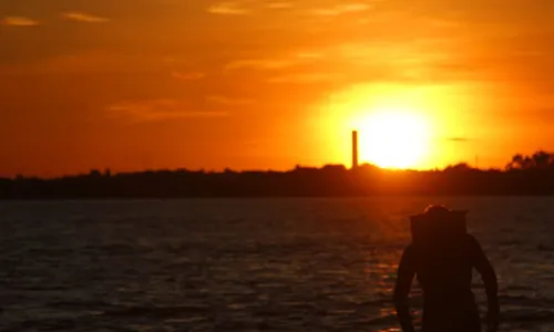 
				
					Dia dos Pais: o que fazer com seu pai no Rio São Francisco
				
				