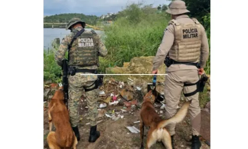 
				
					Dois suspeitos morrem em confronto com policiais em Ilhéus
				
				