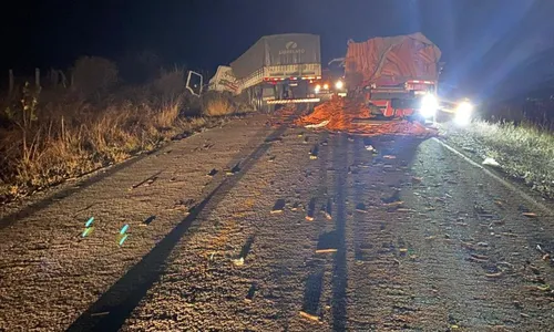 
				
					Três pessoas morrem em acidente entre caminhões na Bahia
				
				