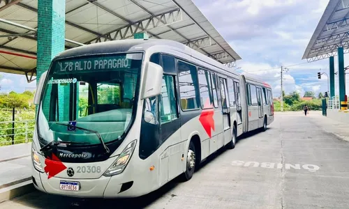 
				
					Eleições: Feira de Santana tem transporte público gratuito no domingo
				
				