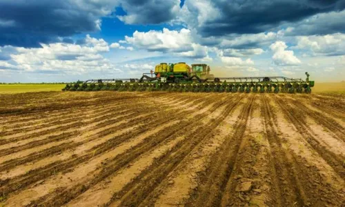 
				
					Empresa de agronegócio faz seleção de técnicos agrícolas em Guanambi
				
				