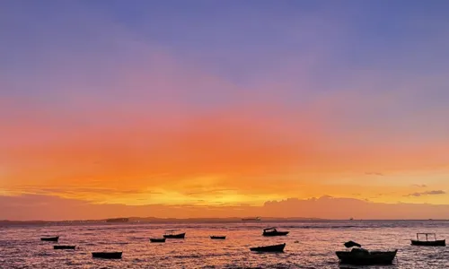 
				
					'Explosão de cores' no céu de Salvador é causada por fenômeno; entenda
				
				