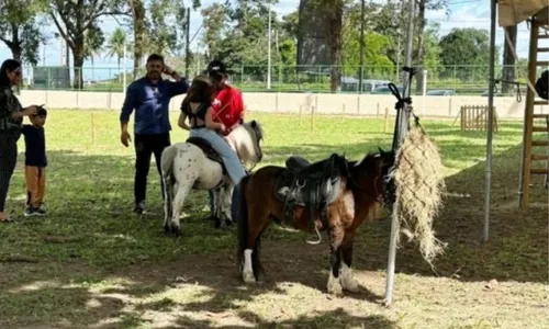 
				
					Expofeira volta a ser realizada no interior da Bahia após quatro anos
				
				