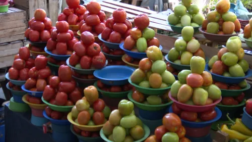 
				
					Feira de Santana: preço da Cesta Básica cai pelo 3º mês seguido
				
				