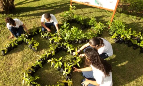 
				
					Fundação Bradesco abre 20 mil vagas para cursos gratuitos de formação
				
				