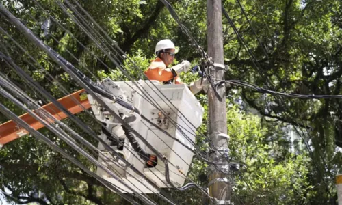 
				
					Homem é eletrocutado ao podar árvore perto de fios elétricos no Barris
				
				