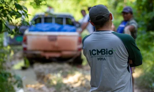 
				
					ICMBio abre vagas para profissionais com ensino fundamental incompleto
				
				