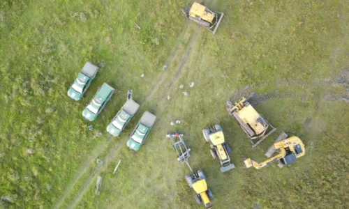 
				
					Ibama multa suspeito de desmatar 25 hectares de floresta na Bahia
				
				