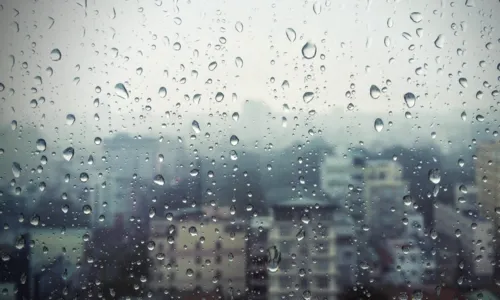 
				
					Mais de 50 cidades baianas estão sob alerta de chuva; veja lista
				
				