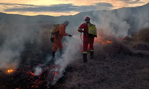 
				
					Incêndio atinge cerca de 3 km de vegetação em Jaguarari
				
				