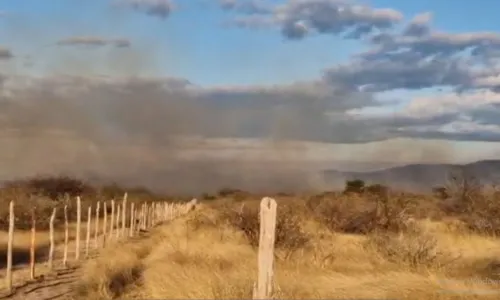 
				
					Incêndio consome mais de 1 quilômetro de vegetação no norte da Bahia
				
				