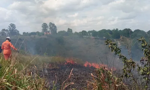 
				
					Incêndio destrói 3 hectares e ameaça área residencial em Eunápolis
				
				