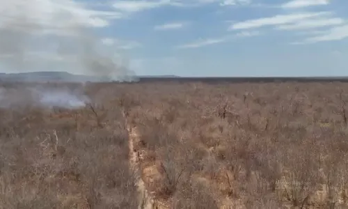 
				
					Incêndio florestal atinge mil hectares no interior da Bahia
				
				