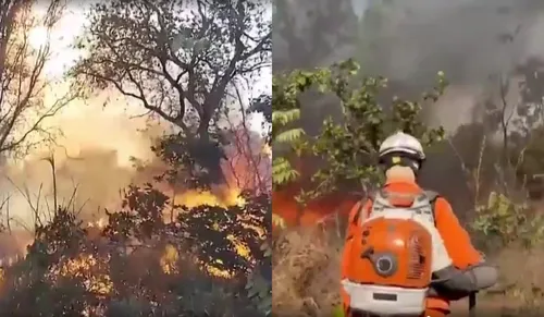 
				
					Incêndio na zona oeste da Bahia dura mais de 27 dias sem solução
				
				